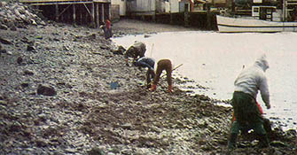 This typical offshore reef is a very rich source of a wide variety of seafoods, "free for the gathering."